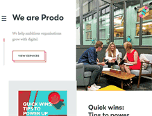 Tablet Screenshot of prodo.com